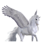 Charmed Pegasus Bling