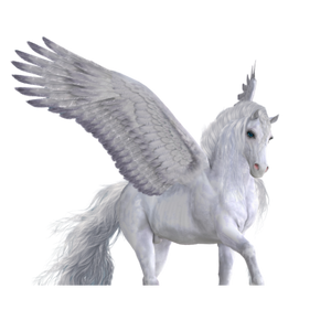 Charmed Pegasus Bling